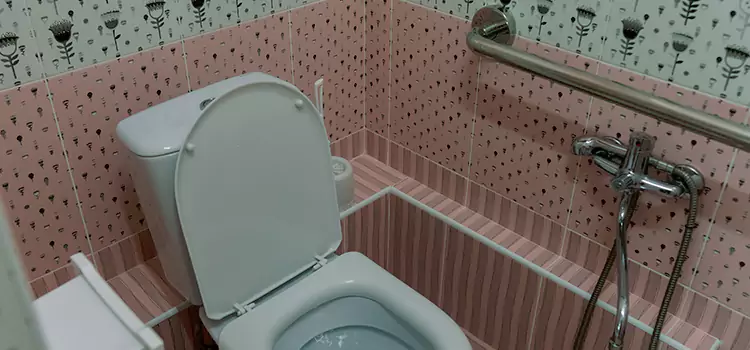Meeting Diverse Needs With Accessible Restroom Solutions in Lathrop, CA
